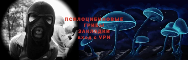 мет Бородино