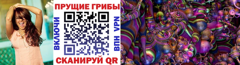Псилоцибиновые грибы GOLDEN TEACHER  купить наркотик  Пенза 